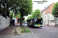 395_IMG_6996