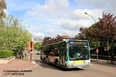 395_IMG_7120