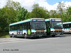 P1070177bis