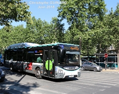 42_IMG_6222
